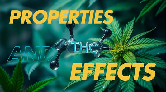 Delta-9: Understanding THC Properties and Effects - Tree Spirit Wellness