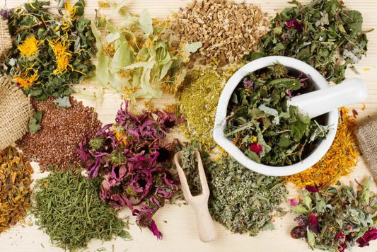 Eclectic Herbs: A Company of Excellence - Tree Spirit Wellness