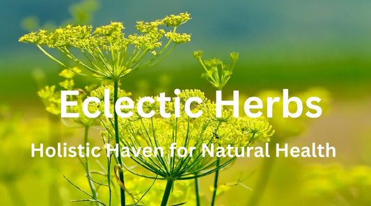 Eclectic Herbs: Your Holistic Haven for Natural Health and Well-being - Tree Spirit Wellness