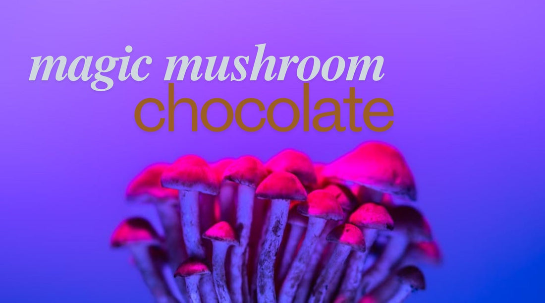 Embark on a magic mushroom chocolate Mystical Trip - Tree Spirit Wellness