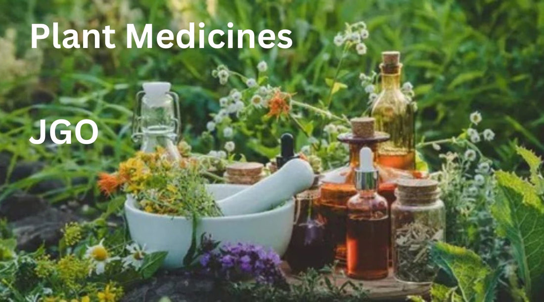 Plant Medicines: A Journey Through the Enchanting World of Jolly Green Oil - Tree Spirit Wellness