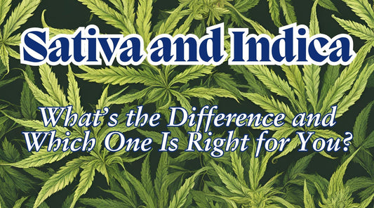 Sativa and  Indica: What’s the Difference and Which One Is Right. - Tree Spirit Wellness