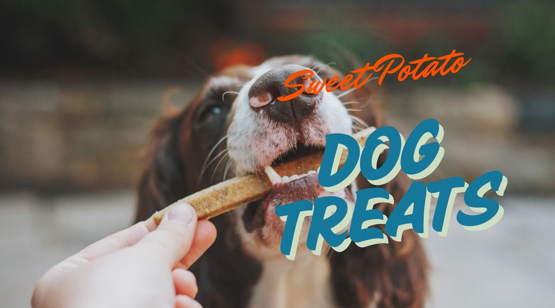 Sweet Potato Dog Treats: A Healthy & Delicious Snack - Tree Spirit Wellness