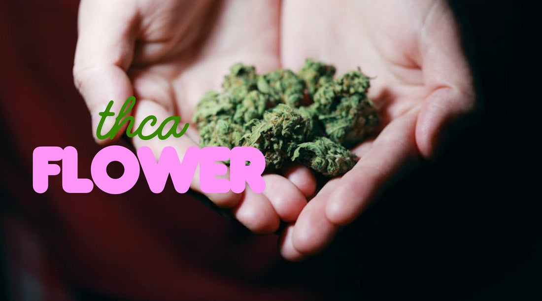 THCA flower: A New Frontier - Tree Spirit Wellness