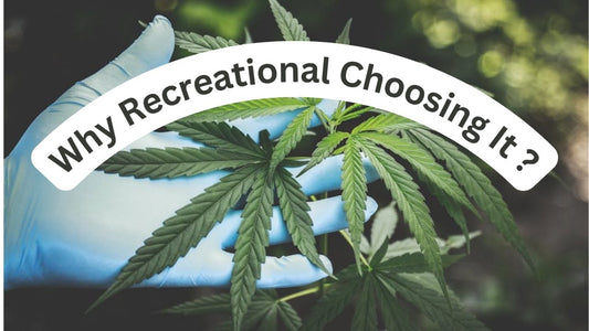 What is Delta-9 THC and Why Are Recreational Users Choosing It Over Other Cannabinoids? - Tree Spirit Wellness