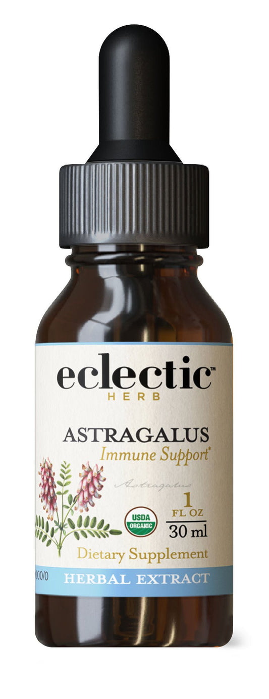 ASTRAGALUS EXTRACT - Tree Spirit Wellness