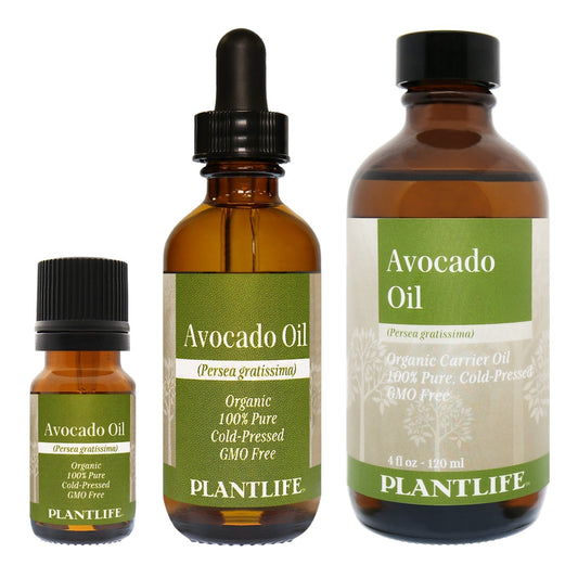 Avocado Oil - Tree Spirit Wellness