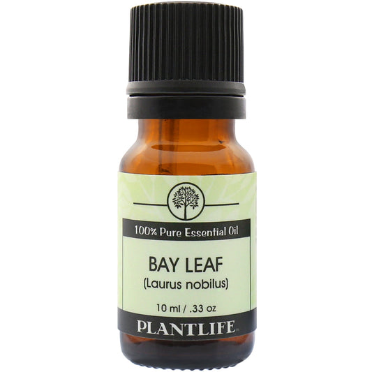 Bay Leaf Essential Oil - Tree Spirit Wellness