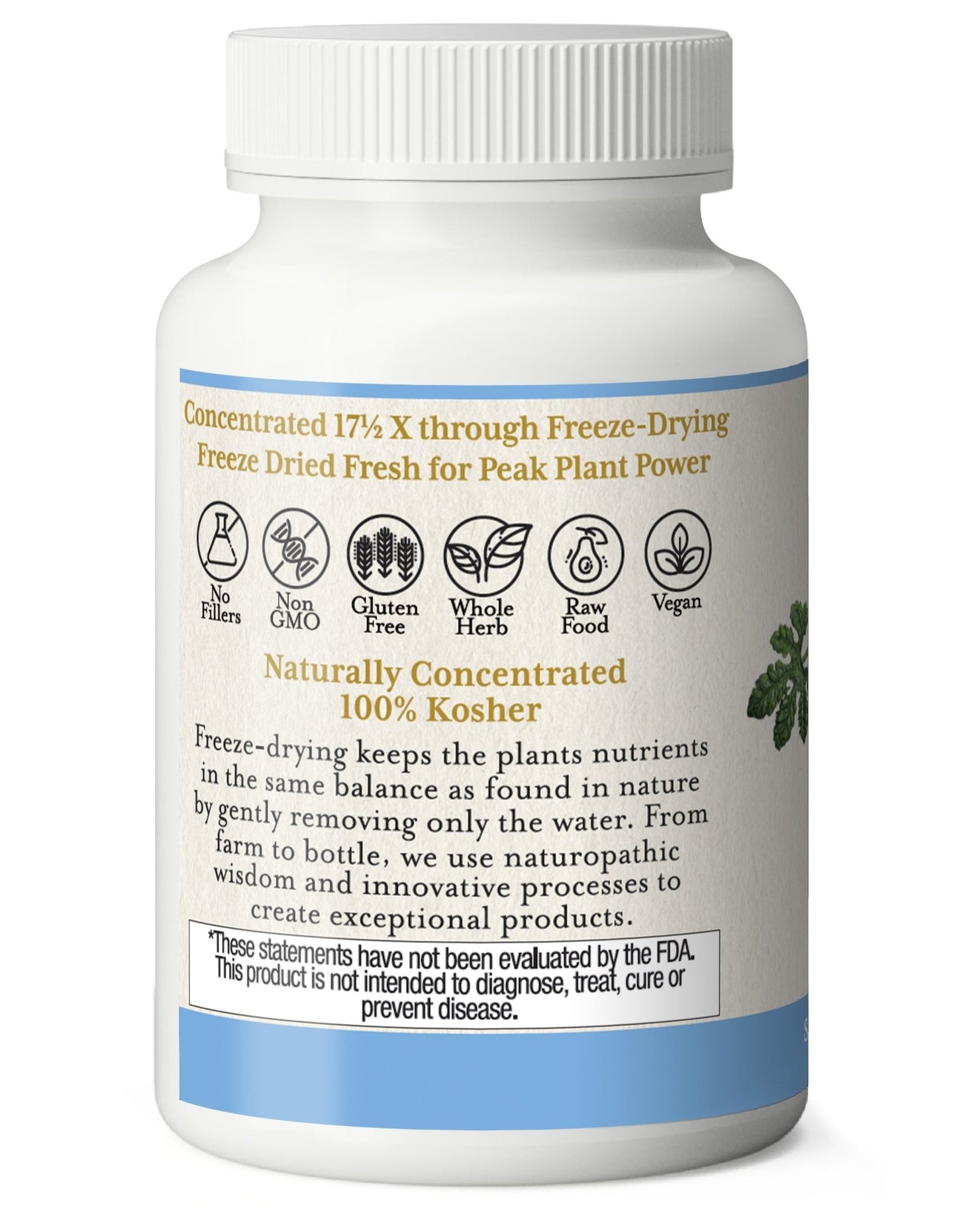 BITTER MELON CAPSULES - Tree Spirit Wellness