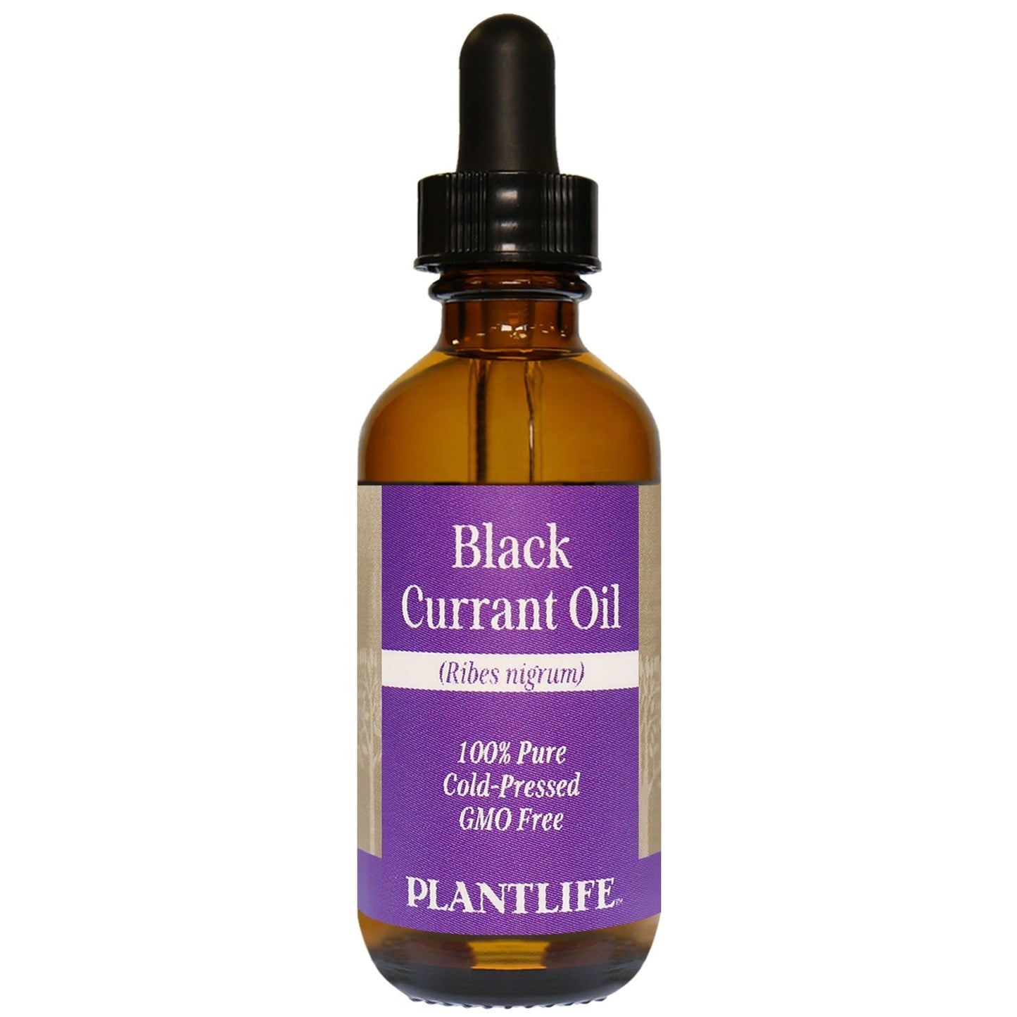 Black Currant Oil - Tree Spirit Wellness