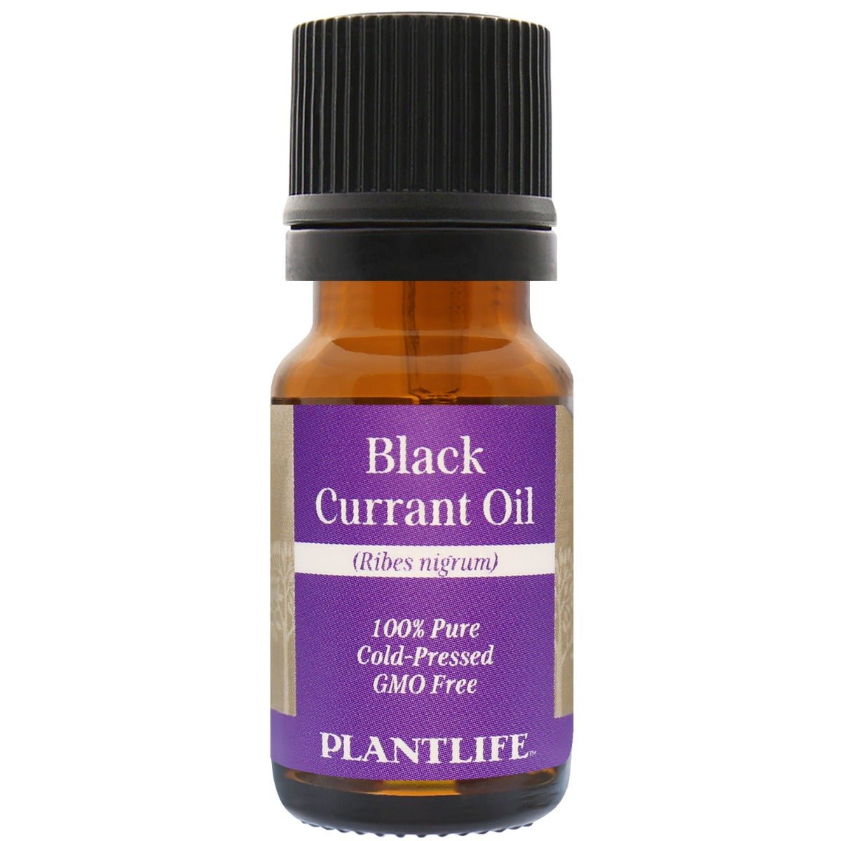 Black Currant Oil - Tree Spirit Wellness