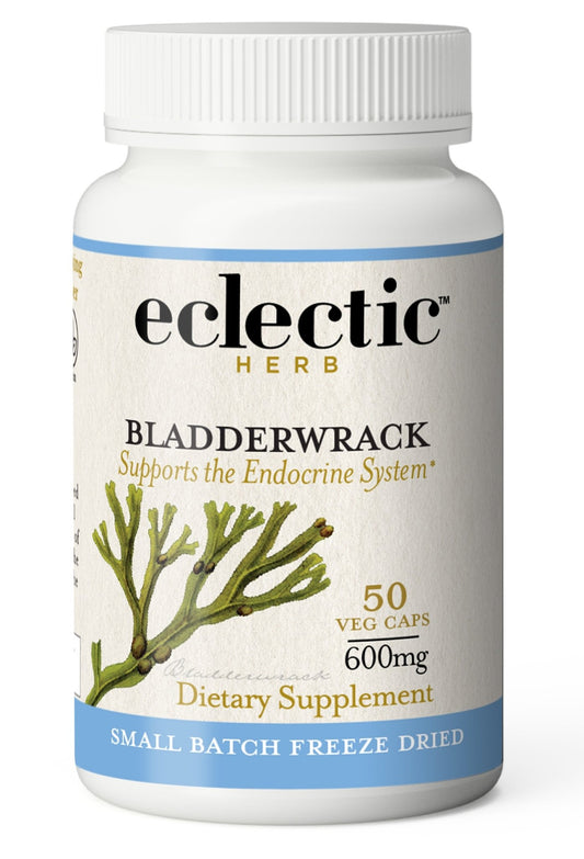 BLADDERWRACK CAPSULES - Tree Spirit Wellness