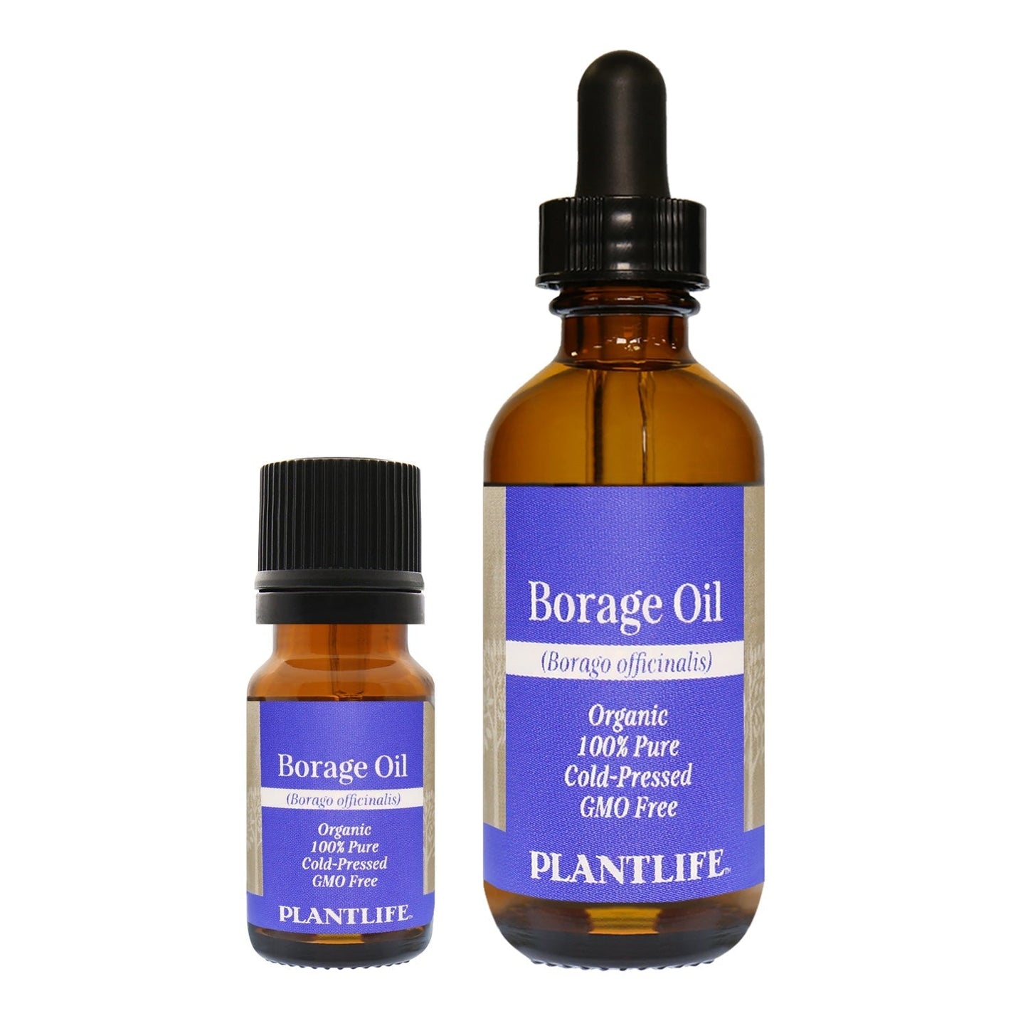 Borage Seed Oil - Tree Spirit Wellness