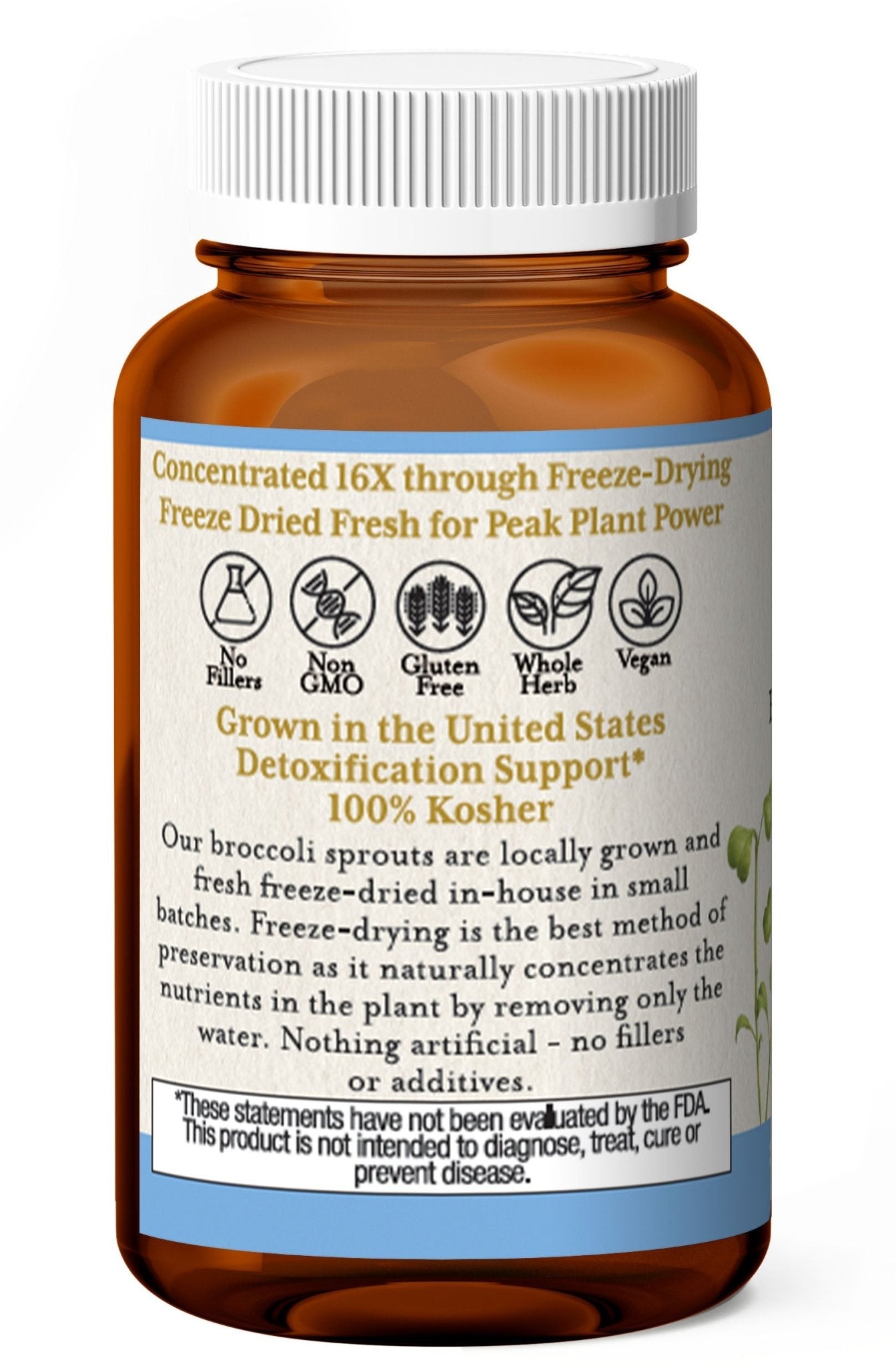 BROCCOLI SPROUT CAPSULES - Tree Spirit Wellness