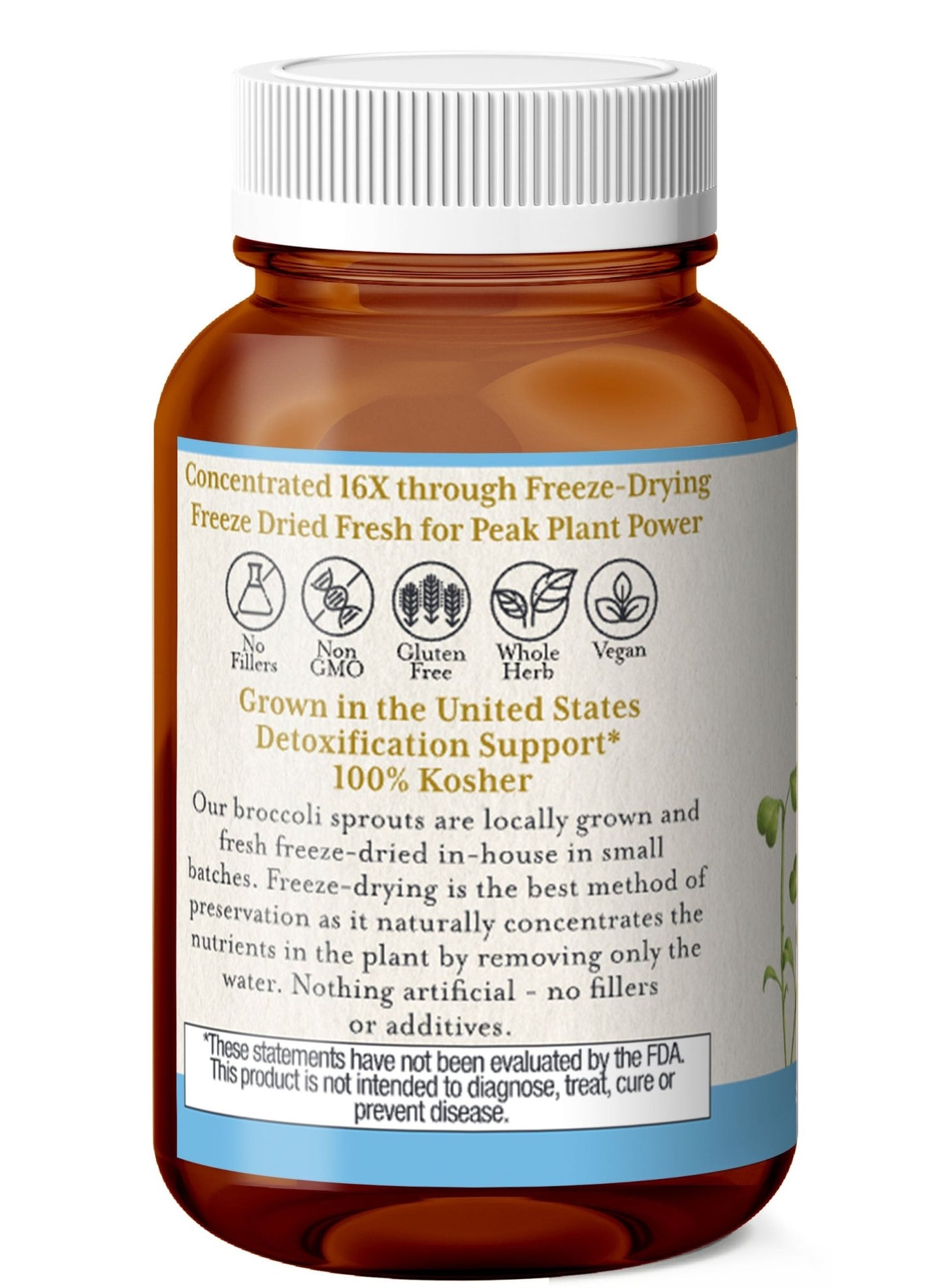 BROCCOLI SPROUT CAPSULES - Tree Spirit Wellness