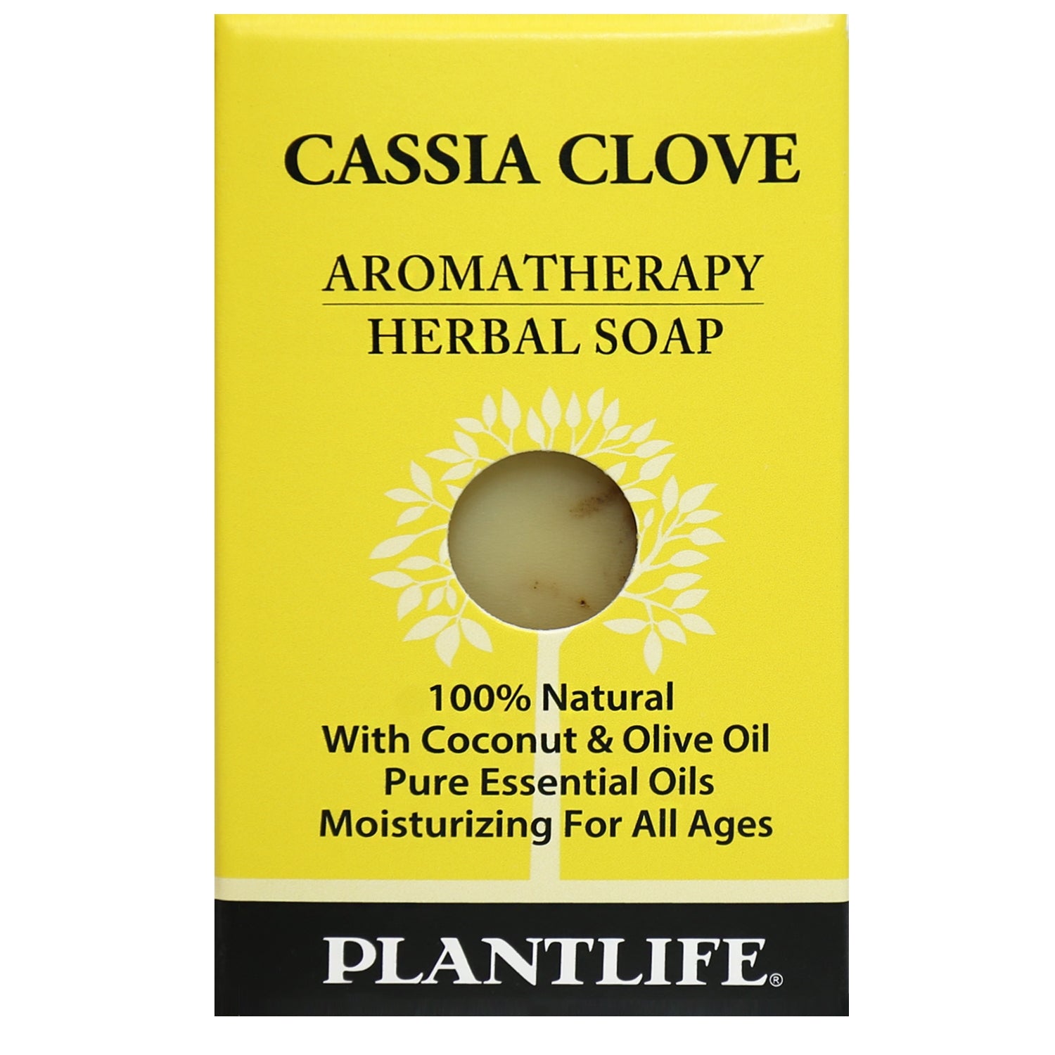 Cassia Clove Travel Size Bar Soap - Tree Spirit Wellness