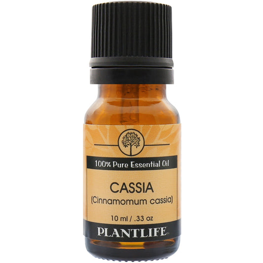 Cassia Essential Oil - Tree Spirit Wellness