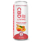 CBD Sparkling Water 25 mg - Tree Spirit Wellness