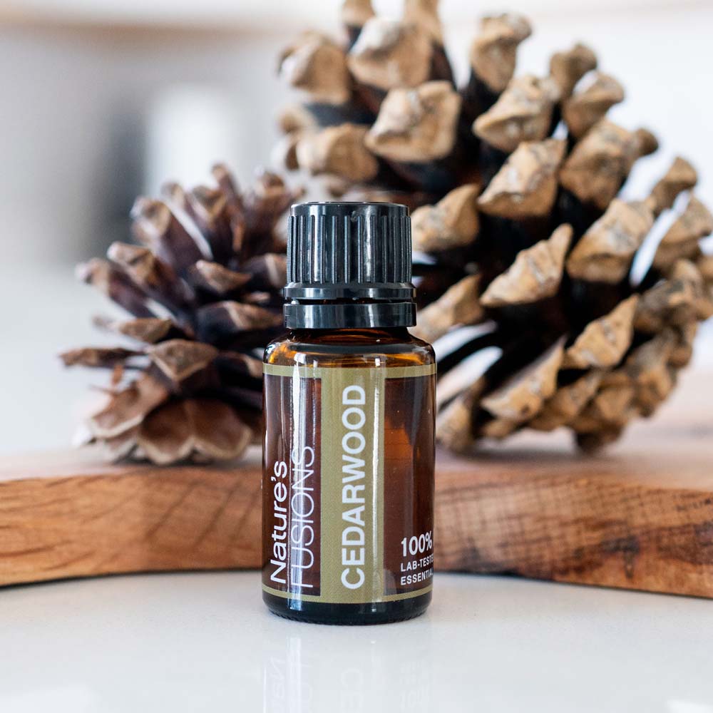 Cedarwood Essential oil - 15ml - Tree Spirit Wellness