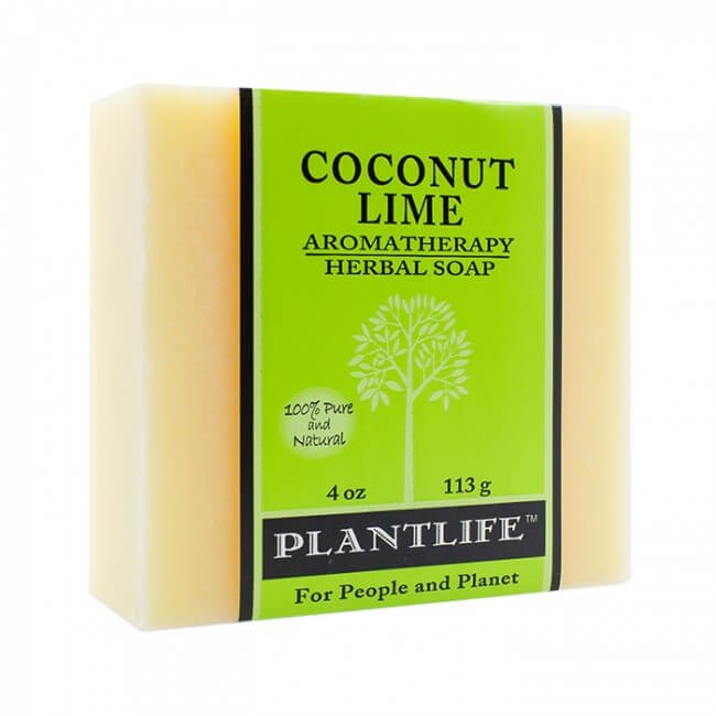 Coconut Lime Bar Soap - Tree Spirit Wellness