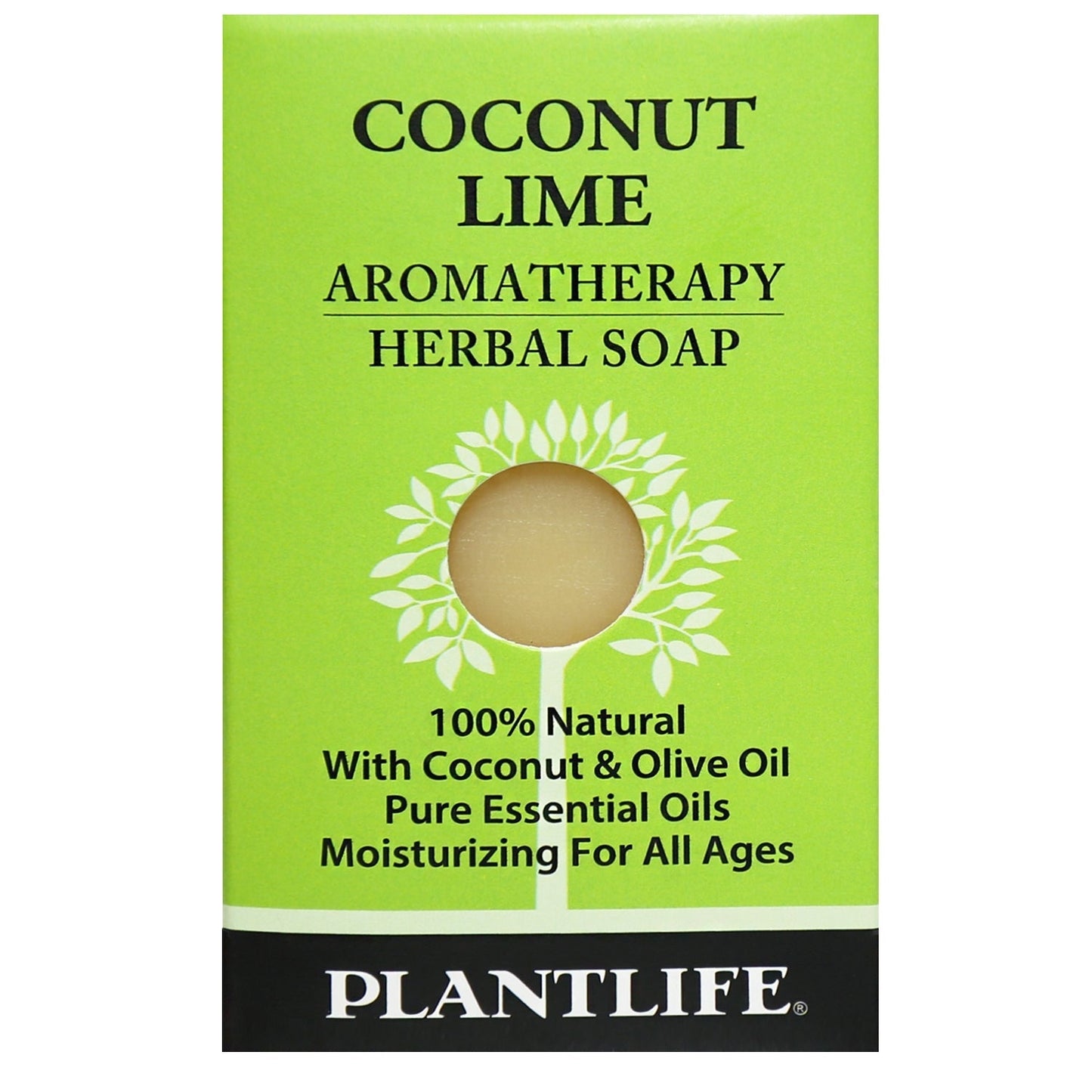 Coconut Lime Travel Size Bar Soap - Tree Spirit Wellness