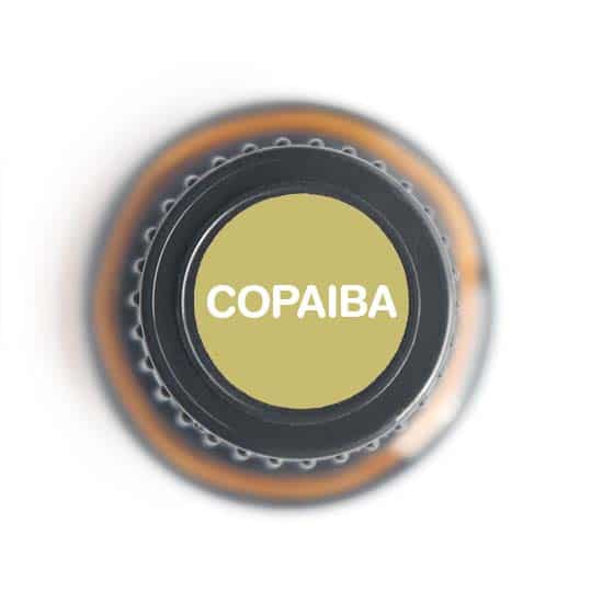 Copaiba Balsam Essential oil - 15ml - Tree Spirit Wellness