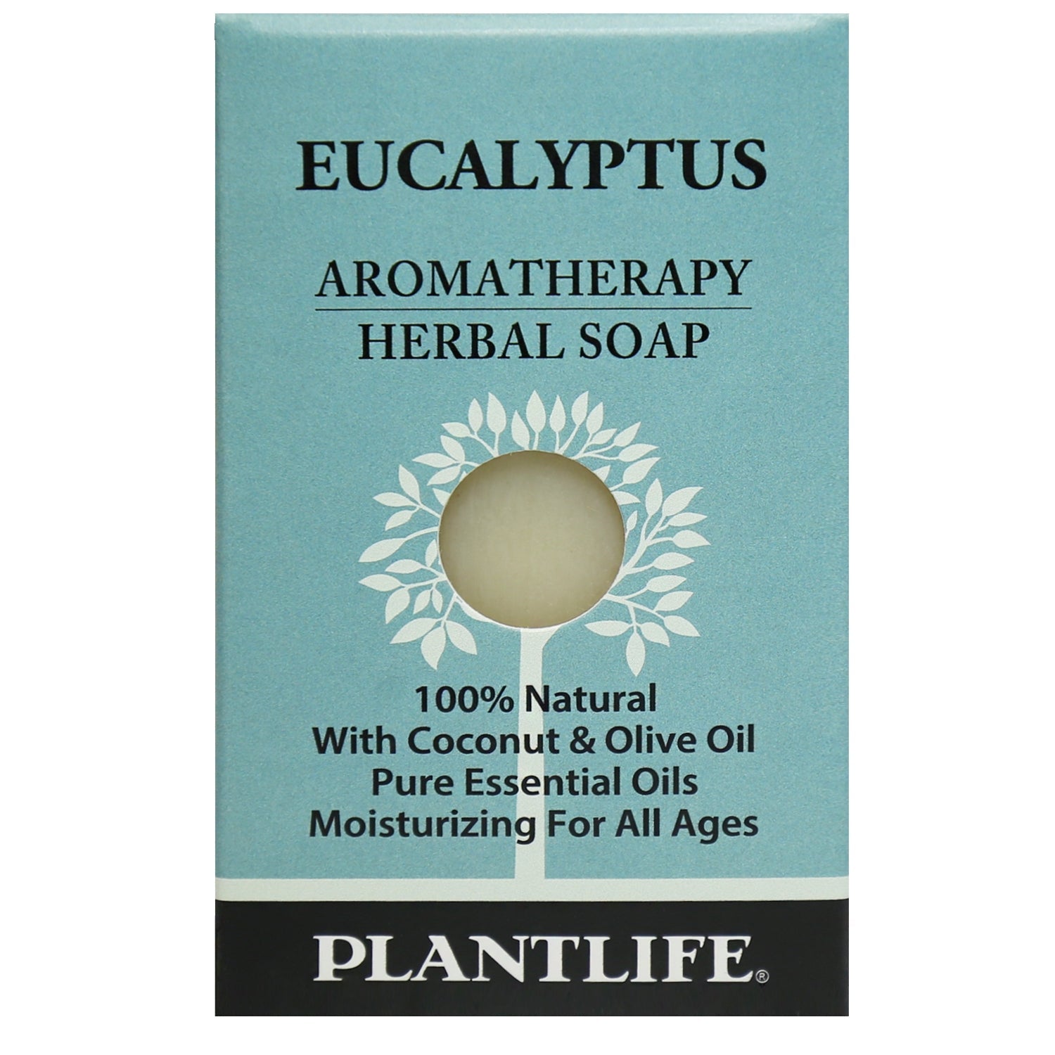 Eucalyptus Travel Size Bar Soap - Tree Spirit Wellness