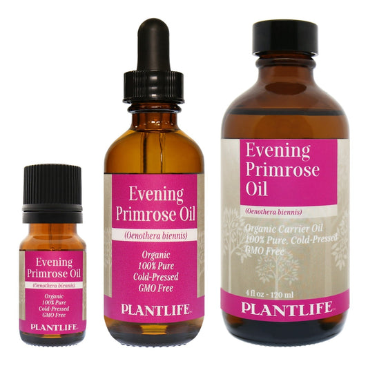 Evening Primrose - Tree Spirit Wellness