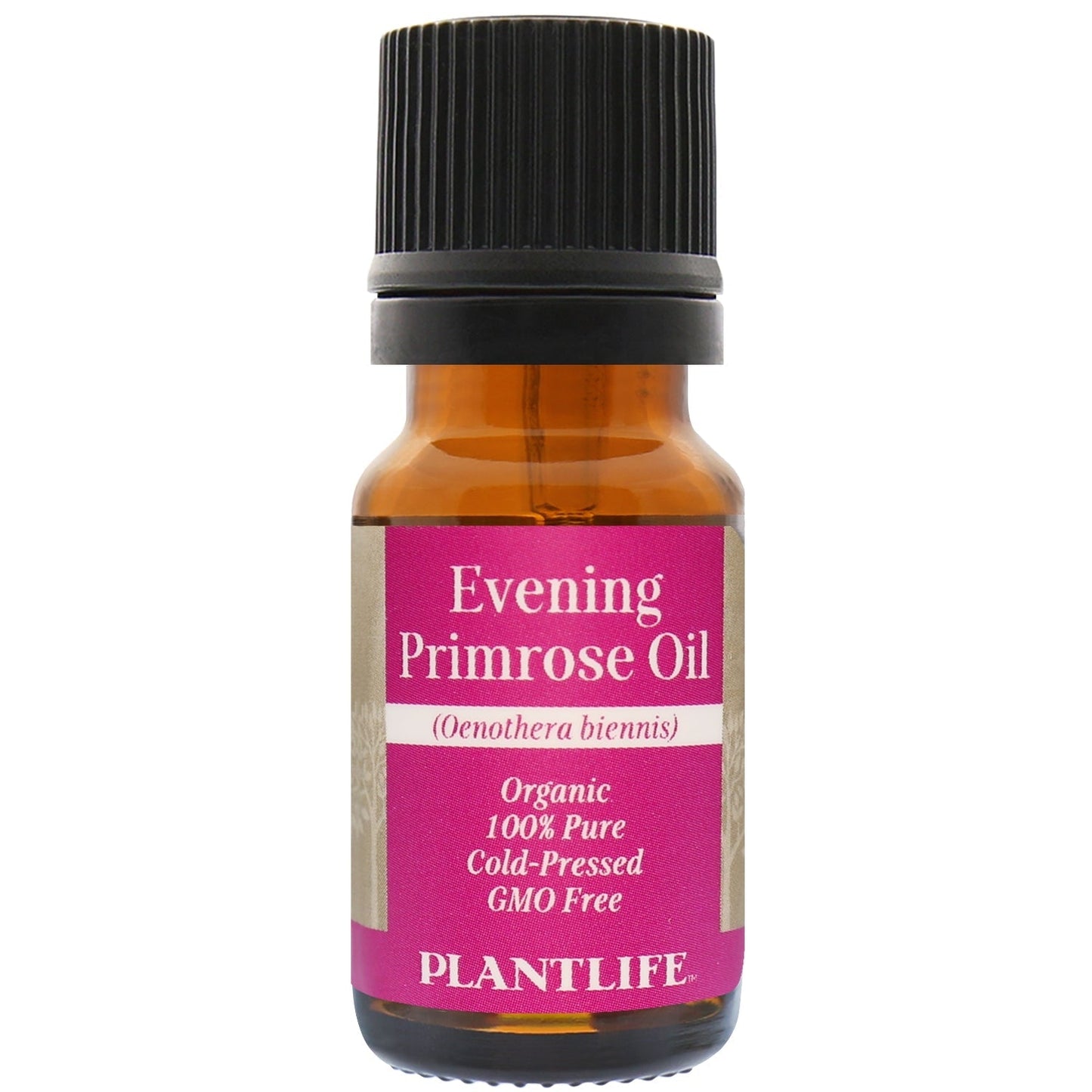 Evening Primrose - Tree Spirit Wellness