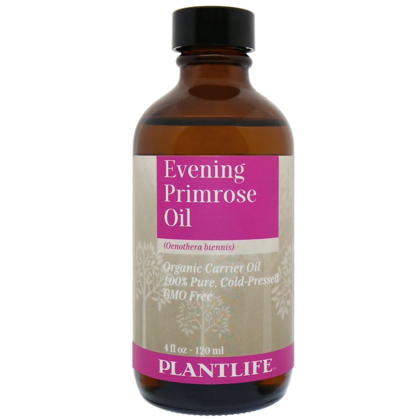 Evening Primrose - Tree Spirit Wellness