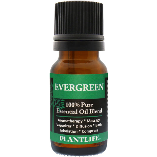 Evergreen Essential Oil Blend - Tree Spirit Wellness