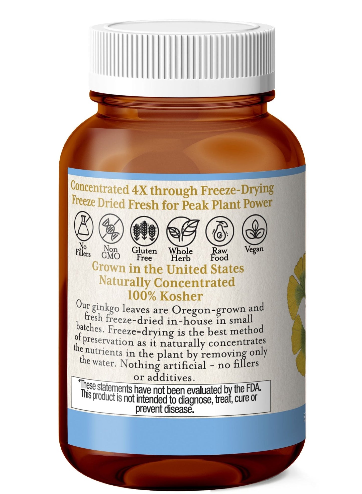 GINKGO CAPSULES - Tree Spirit Wellness