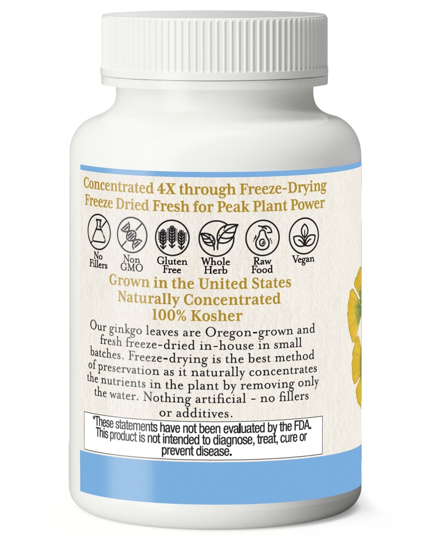 GINKGO CAPSULES - Tree Spirit Wellness