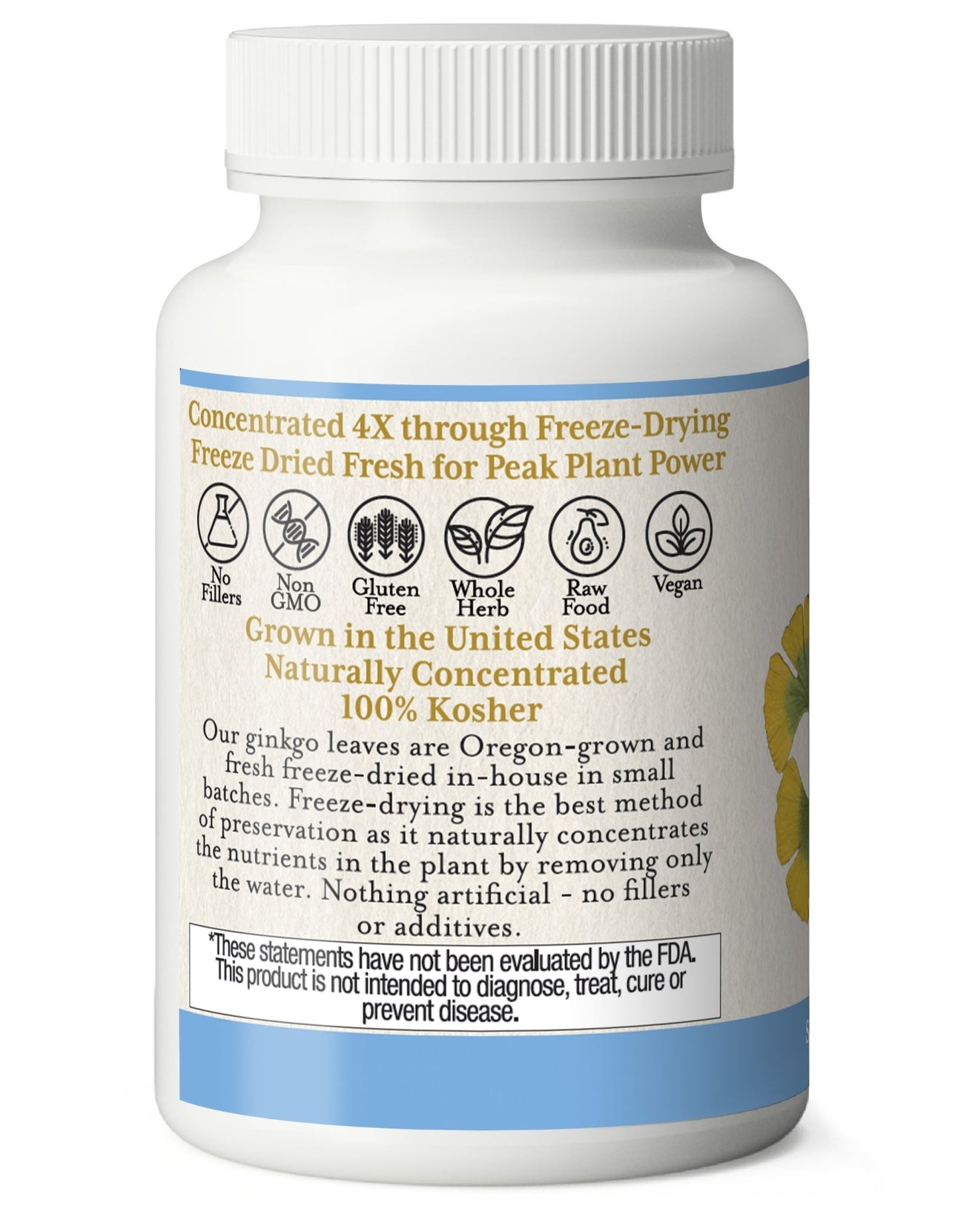 GINKGO CAPSULES - Tree Spirit Wellness