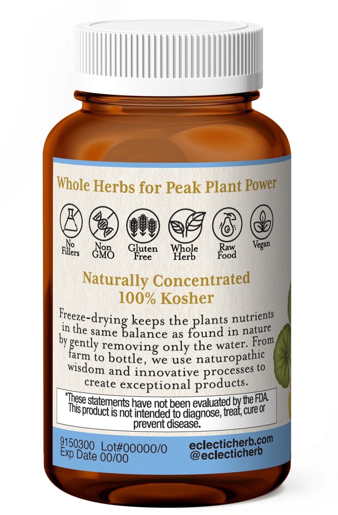 GINKGO GOTU KOLA CAPSULES - Tree Spirit Wellness