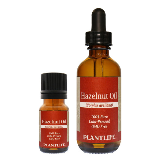 Hazelnut Oil - Tree Spirit Wellness