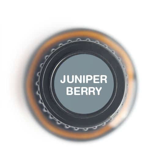 Juniper Berry Essential oil - Tree Spirit Wellness