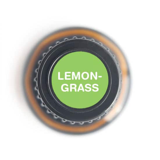 Lemongrass Essential oil - 15ml - Tree Spirit Wellness