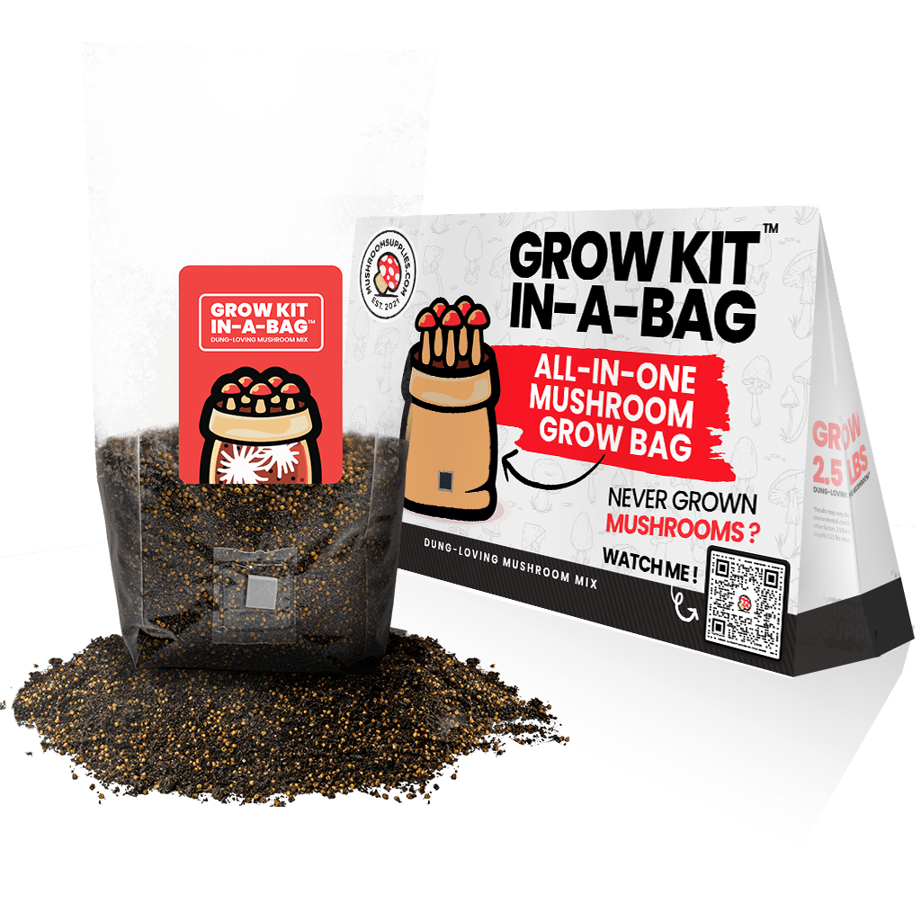 Mushroom Grow Kit in a Bag™ - Tree Spirit Wellness