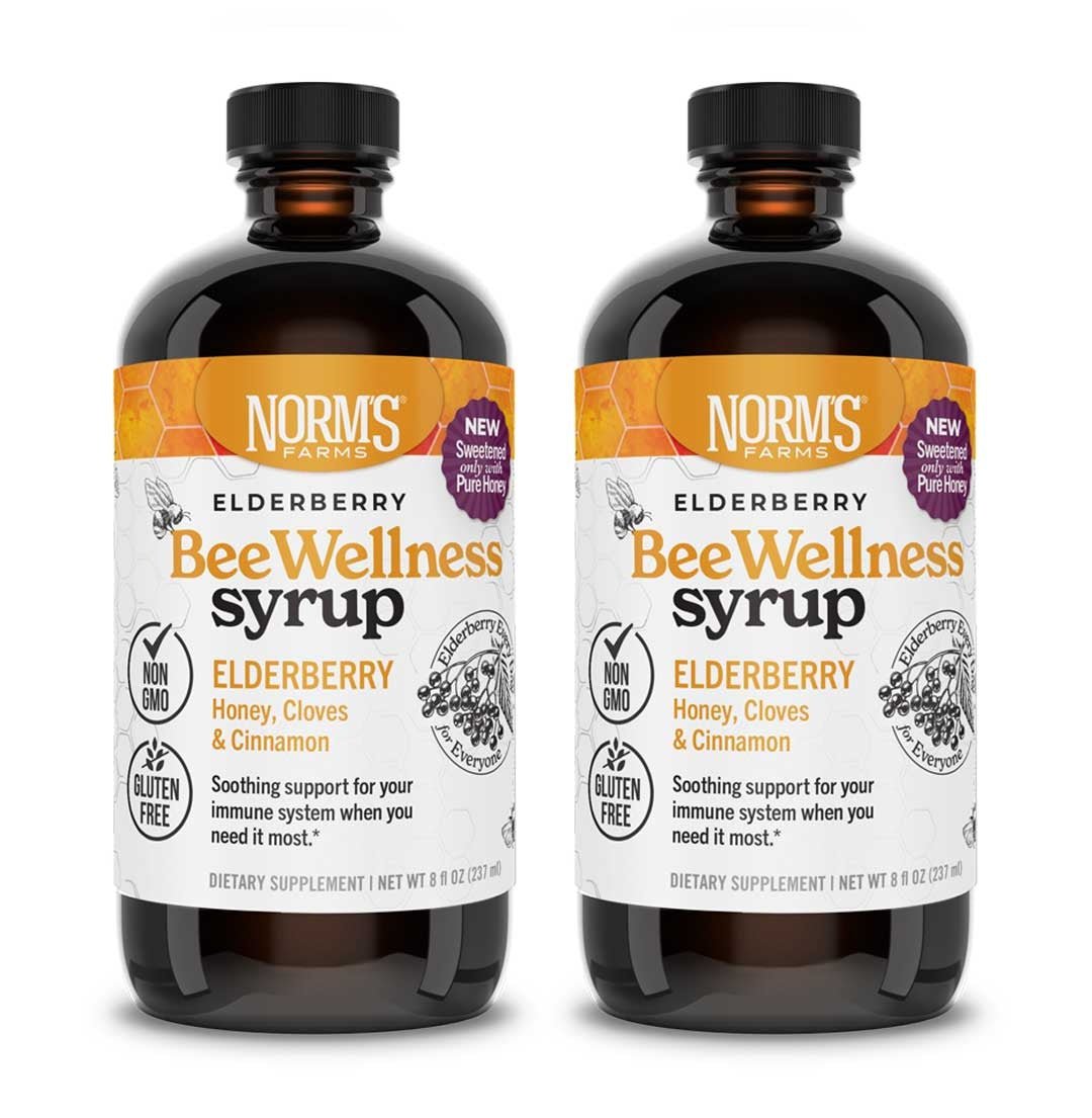 NEW! BeeWellness Syrup (8 oz.) - Tree Spirit Wellness