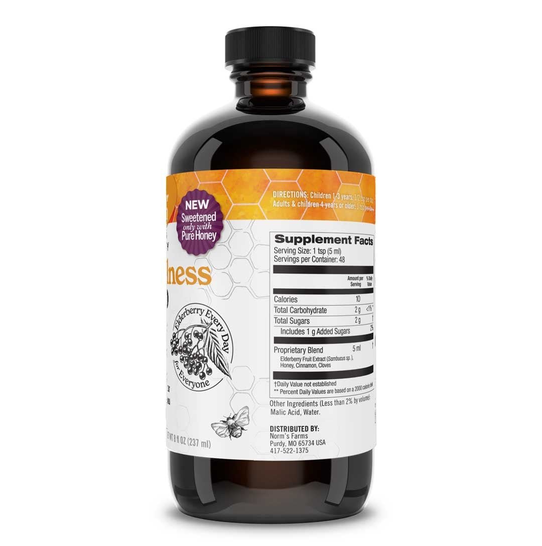 NEW! BeeWellness Syrup (8 oz.) - Tree Spirit Wellness