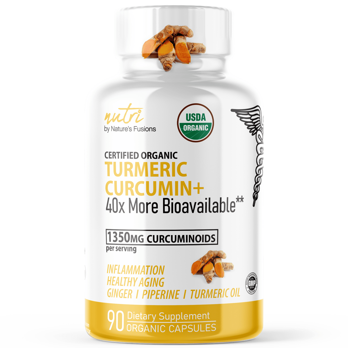 Turmeric Curcumin+ (with Ginger, Piperine & Turmeric Oil)- Tree Spirit Wellness