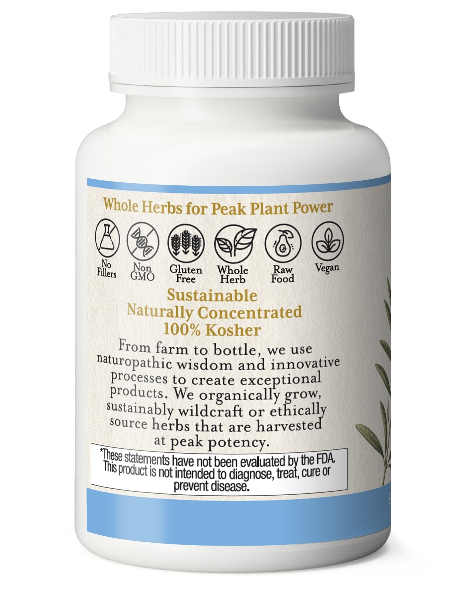 OLIVE LEAF CAPSULES - Tree Spirit Wellness