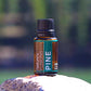 Pine Essential oil - Tree Spirit Wellness