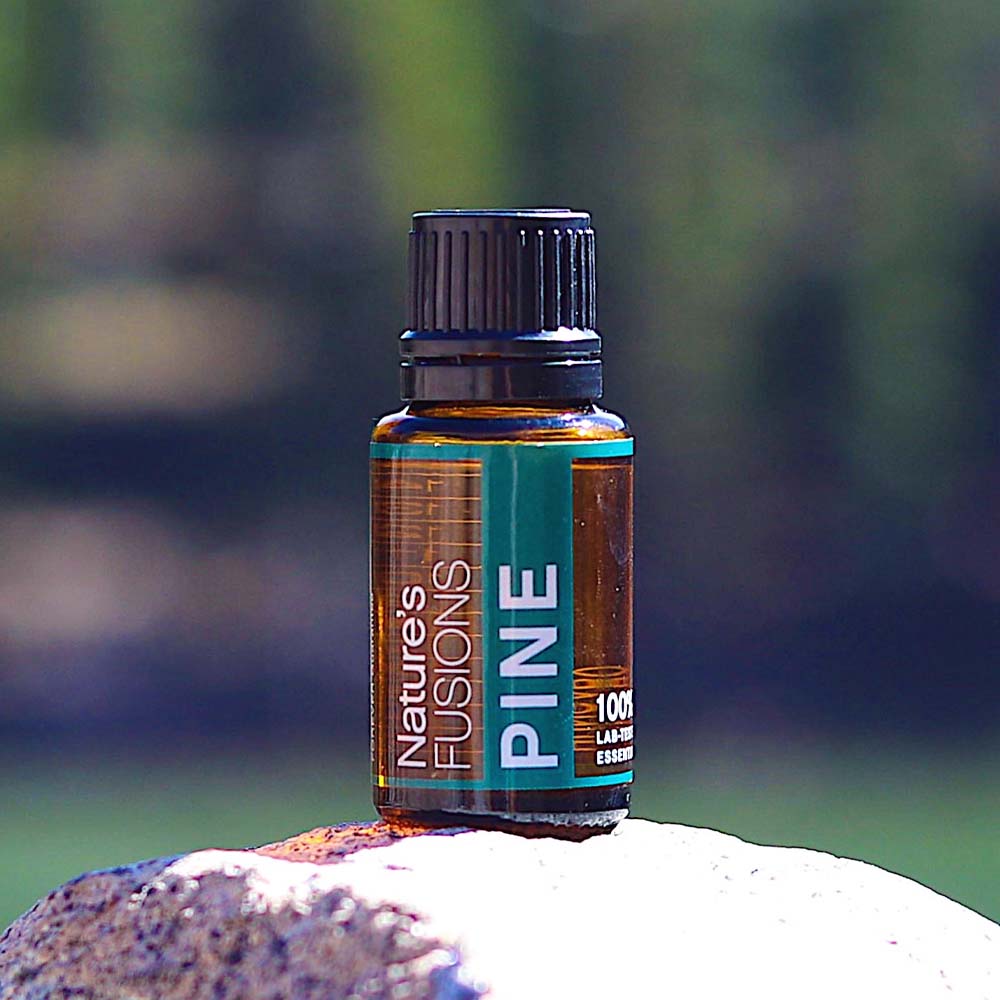 Pine Essential oil - Tree Spirit Wellness