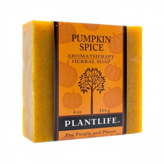 Pumpkin Spice Bar Soap - Tree Spirit Wellness