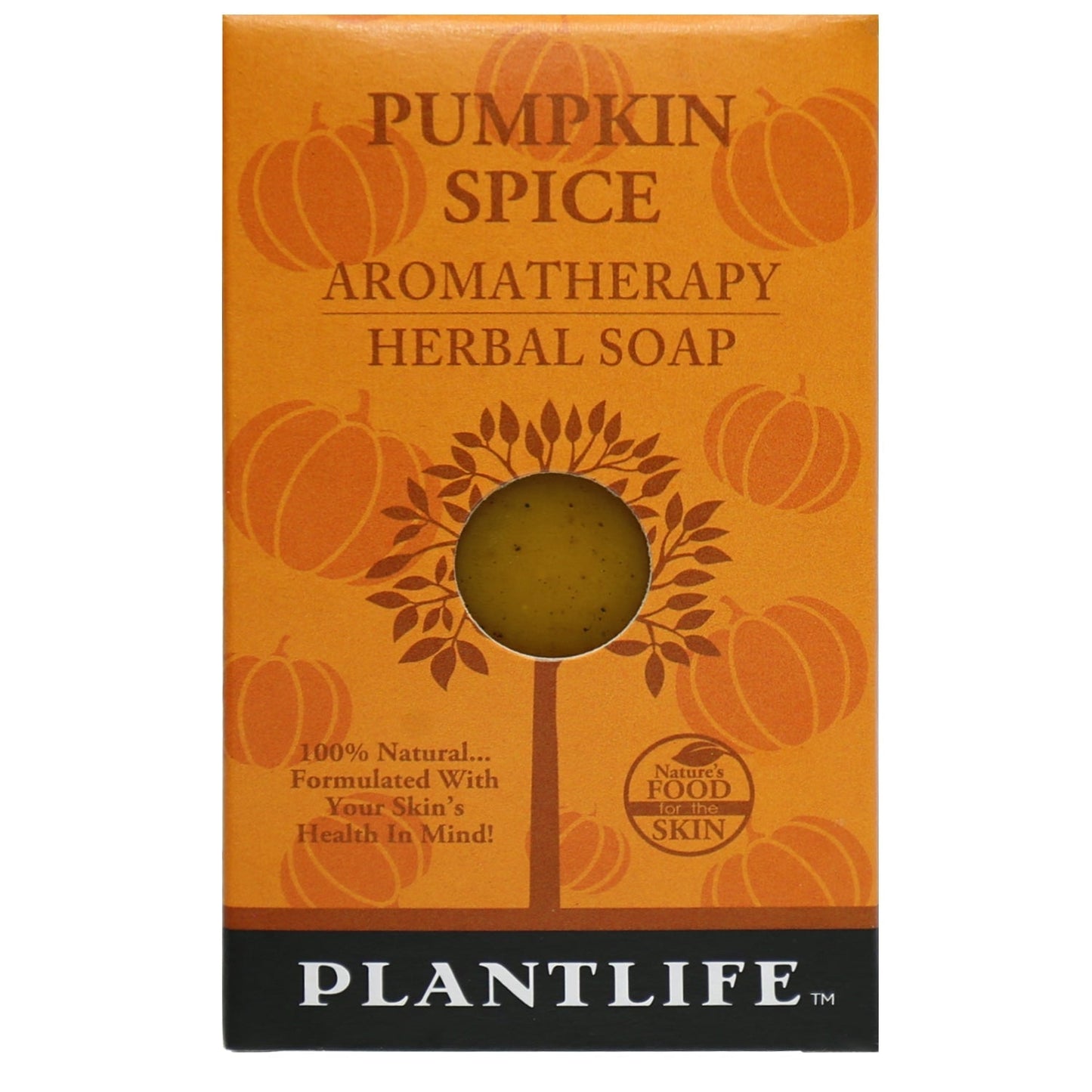 Pumpkin Spice Travel Size Bar Soap - Tree Spirit Wellness