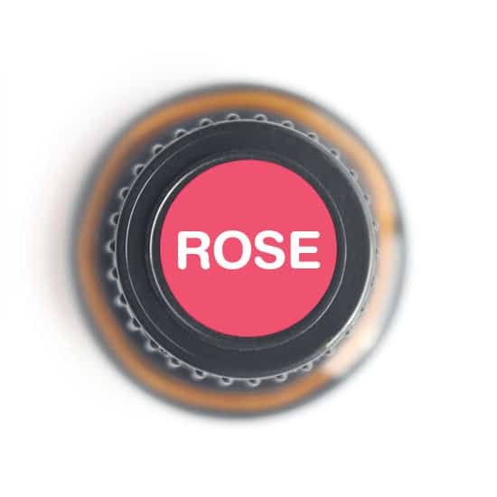 Rose Absolute Essential oil - 5ml - Tree Spirit Wellness