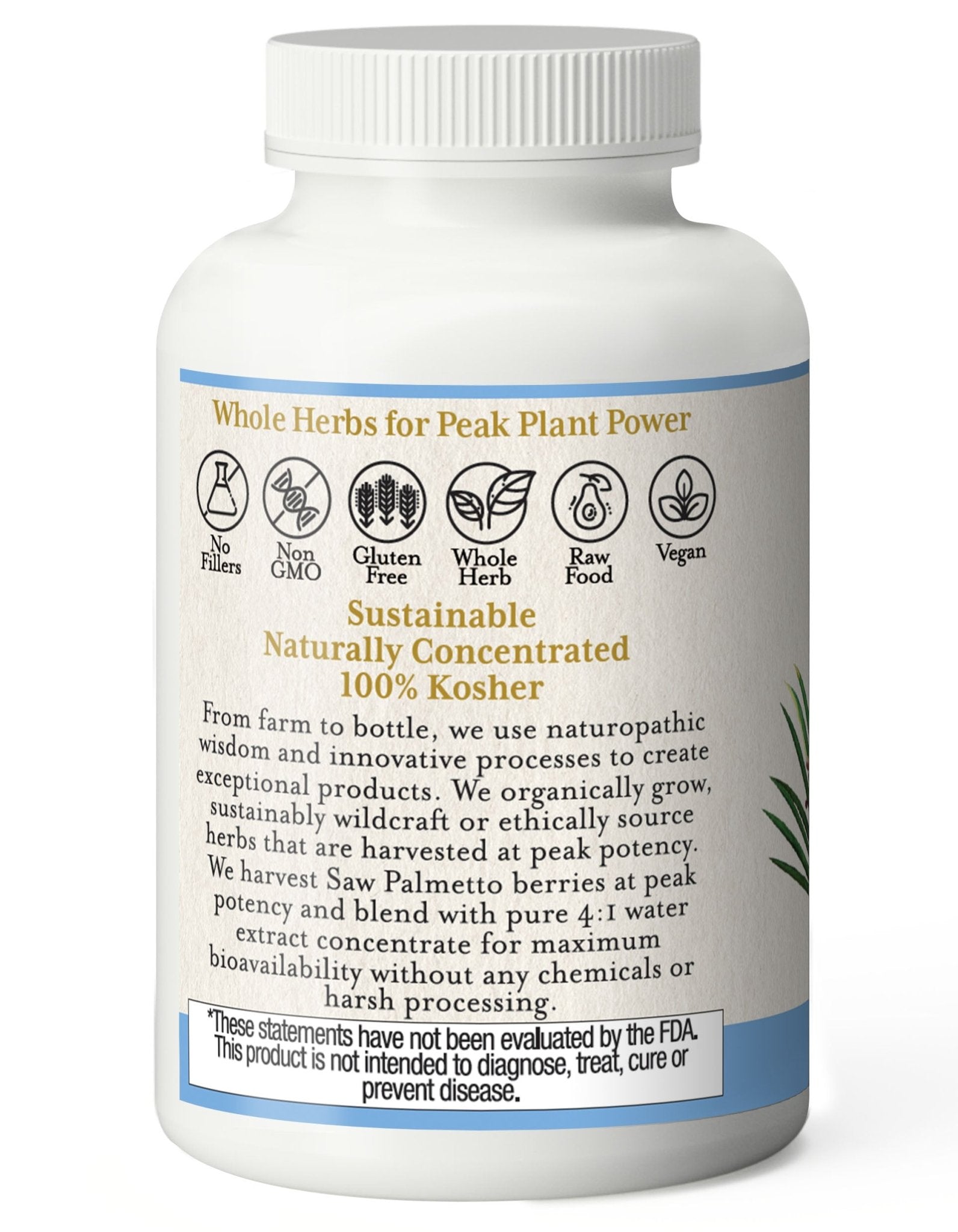 SAW PALMETTO CAPSULES - Tree Spirit Wellness