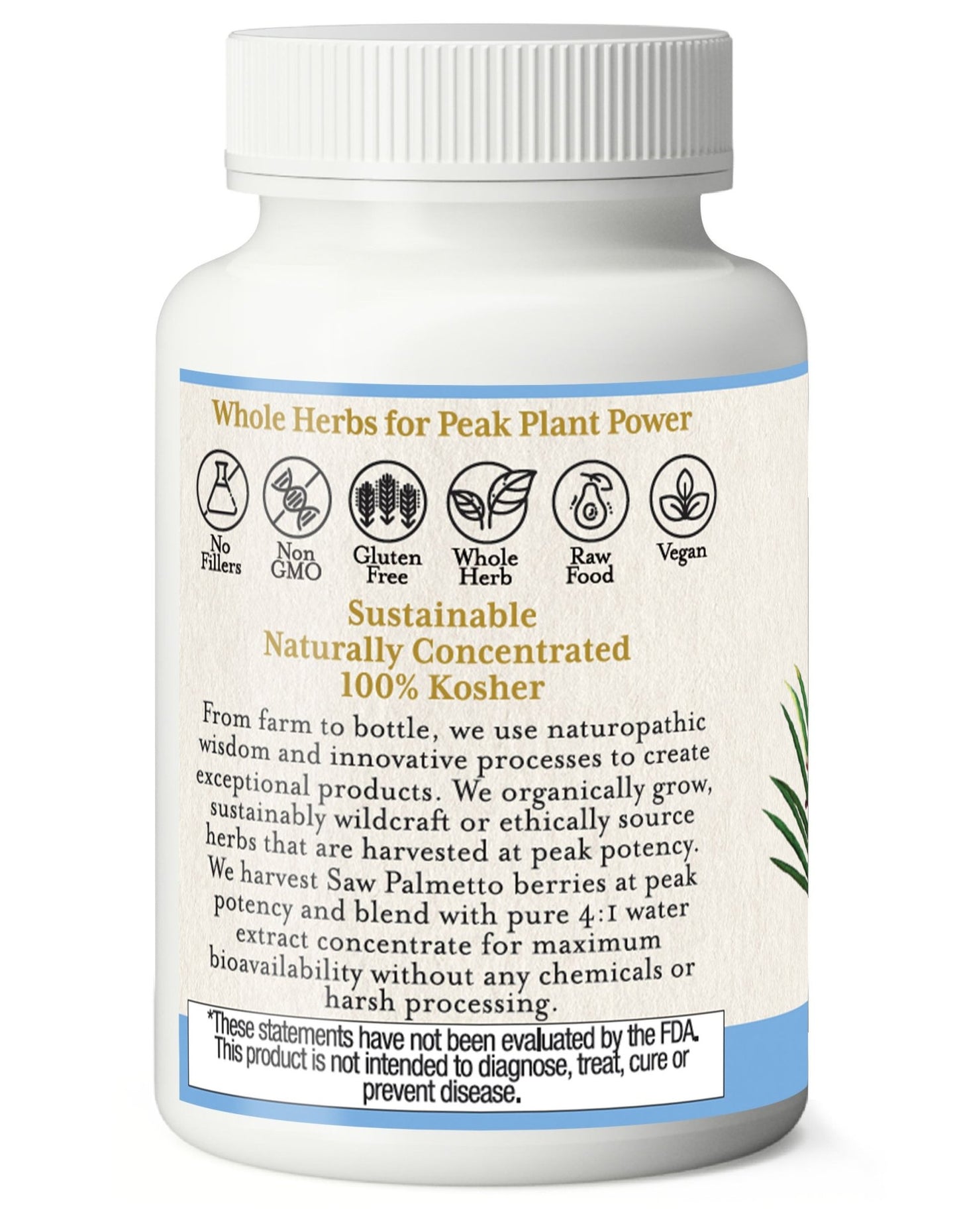 SAW PALMETTO CAPSULES - Tree Spirit Wellness